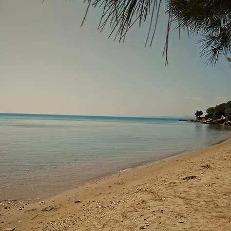 Apartment Moriel Seaside Homes *