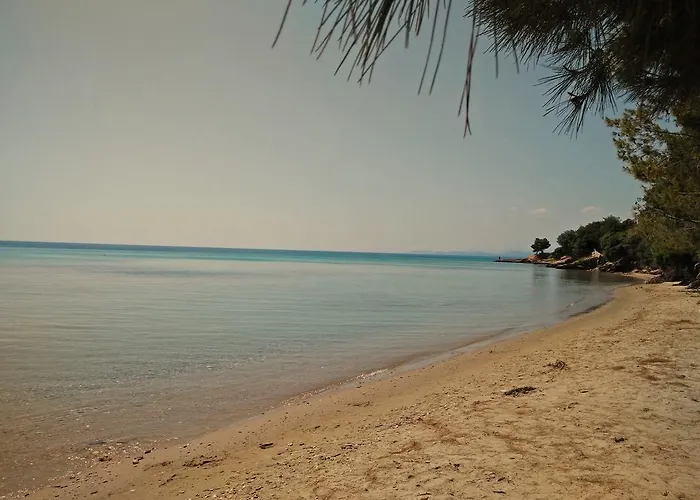 شقة Moriel Seaside Homes *
