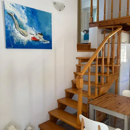 Moriel Seaside Homes * エリア